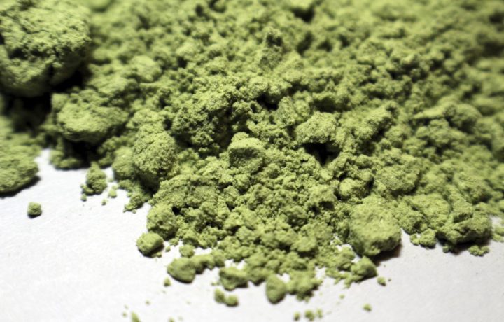 Fake moss powder